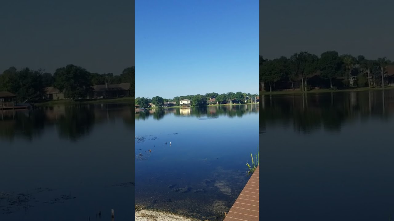 Lake Front Pristine Lake Preserve Land o Lakes, FL Alejandra Morales