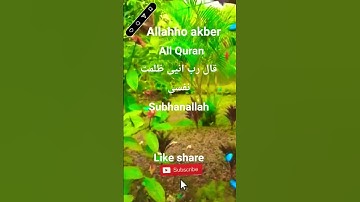 #القران_الكريم #تلاوه_خاشعه #قال رب انیی ظلمت نفسی #الشيخ محمود الشحات #المصحف #foryou