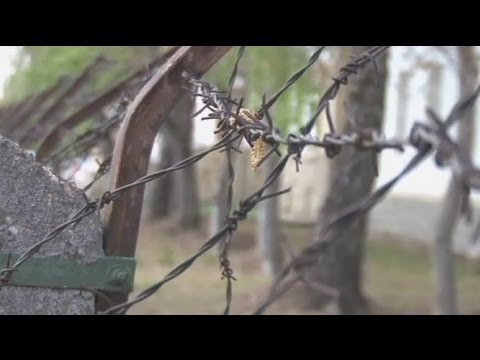 euronews on the frontline - On the Frontline: A cruzada dos refugiados na Europa