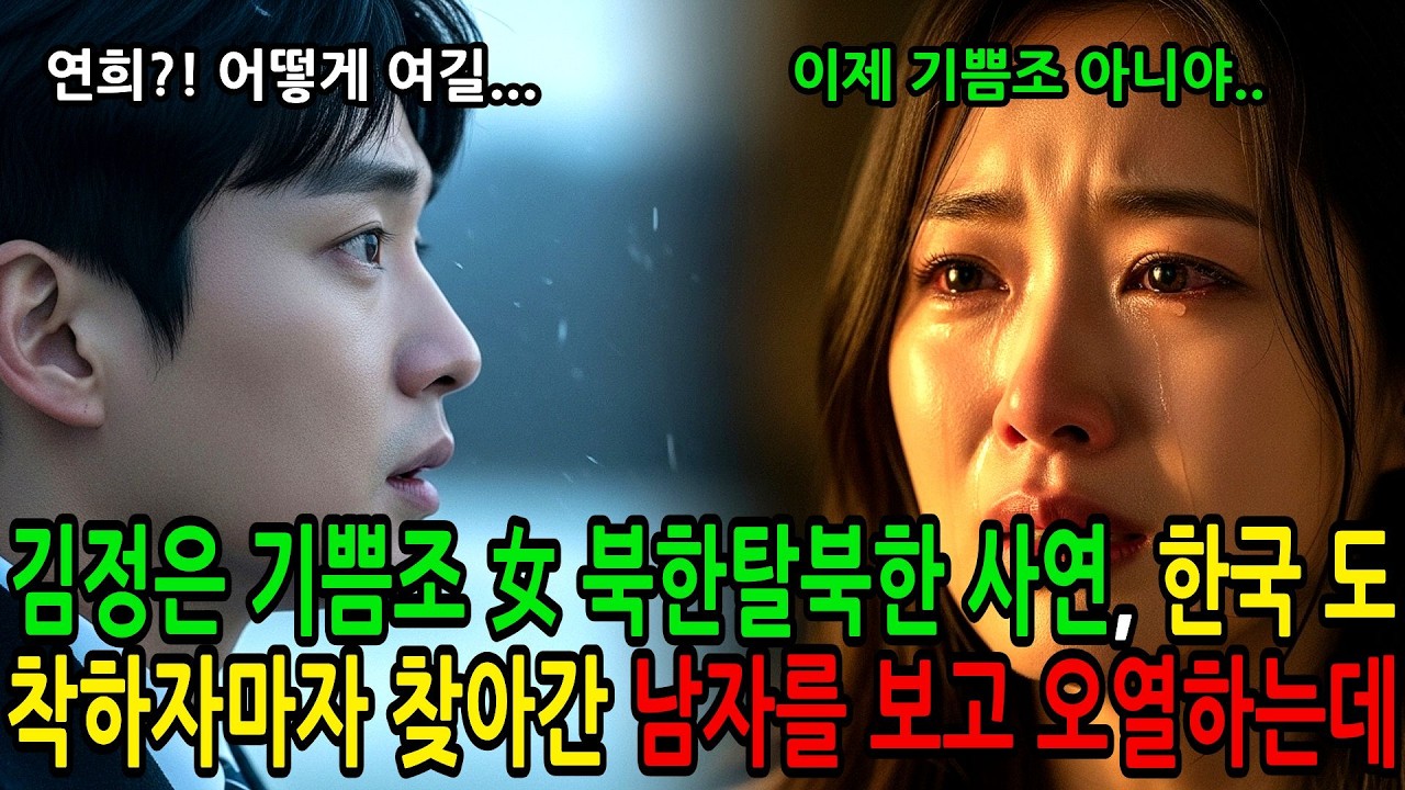 김정은 기쁨조였던 그녀가 북한탈북한 사연, 한국 도착하자마자 찾아간 옛 남자 자식이 남한에 있다는 말을 듣고 그 남자는 오열하는데.. 노후사연 | 북한탈북 | 오디오북