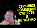 VooDooSh! Ситуации, когда существа ведут себя странно.