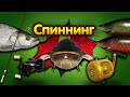 ПАЛИЯ◦ЖЕРЕХ◦СПИННИНГ◦level◦Русская рыбалка 4!