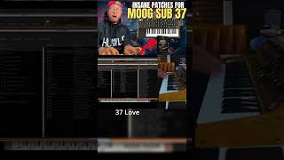 37 Love! | My Moog Sub37 Signature Pack!|