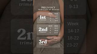 Trimesters of pregnancy weeks