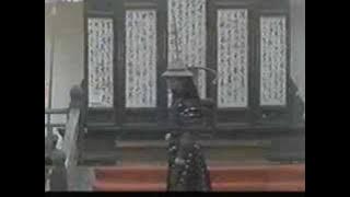 The Tai-Chi Master
