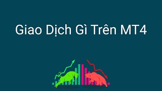 Đầu tư forex | Có thể giao dịch sản phẩm gì trên MT4