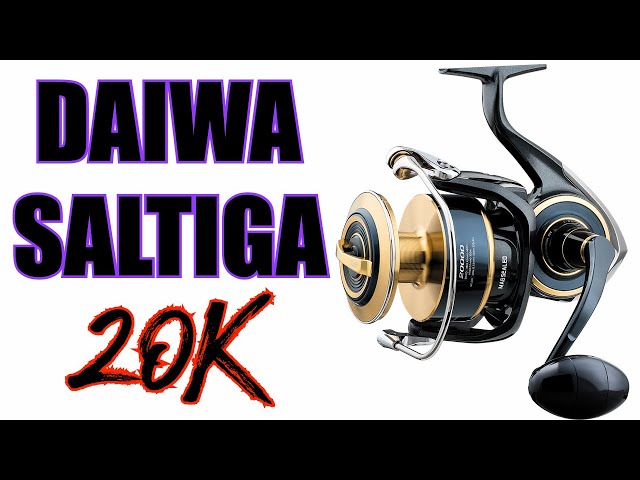 20SALTIGA　20000H Buy Daiwa 20 Saltiga Spinning Reel - 20000-H online | eBay