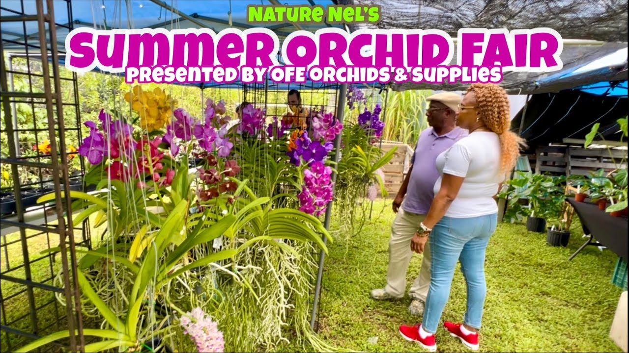 Fun orchid fair in Florida. Join me on a tour of our local orchid and plant fair hosted by OFE.