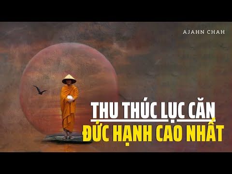 Video: Sự Phấn Khích Là Một Nguồn Lực