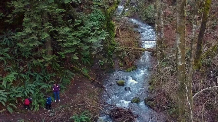 Waterfall 01.13.2018