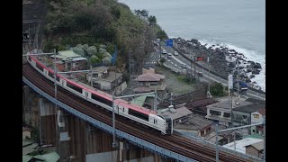 2.17 9831M マリンエクスプレス踊り子 E259系Ne22編成(旧塗装)6連