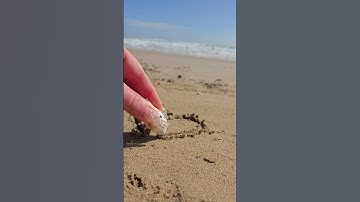 ASMR 💖 Drawing a Heart in the Sand – Relaxing Ocean Sounds 🌊✨