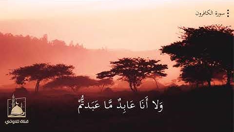 سورة الكافرون للقارئ الشيخ ناصر القطامي HD