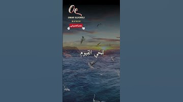 افضل تلاوة | القران بصوت | الشيخ محمد ايوب