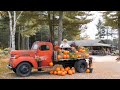 Thanksgiving at Farm and Autumn Colors 4K