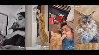 Adorable and Funny Pets on Tiktok by Randomness_unnieee 8 views 3 years ago 5 minutes, 38 seconds