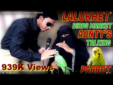 Lalukhet Birds Market Aunty’s Talking Parrot In (Urdu/Hindi} Lalukhet Birds Market Aunty’s Talking Parrot In (Urdu/Hindi}