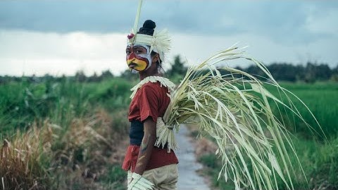 見えるもの、見えざるもの：予告篇