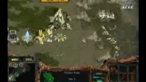 Jaedong vs Much@Proleague 