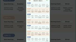 9 Month 4 week baby food chart