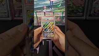 N PSA Collection | PC Showcase ep. 8 #pokemoncards #pokemon #packopenning