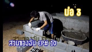 My Garden EP#10 ทำบ่อปูนเลี้ยงปลาบ่อที่ 3 / How to build a fish pond No.3