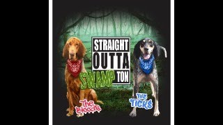 STRAIGHT OUTTA SWAMPTON ( LIVE Q & A)
