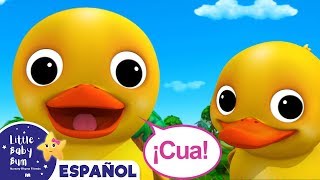 Seis Patitos  ¡Cua, Cua, Cua! | Canciones Infantiles | Little Baby Bum en Español