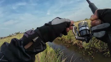 Câu cá lóc Tân Phú Đông Tập #92 Chuyến câu cuối năm cá ăn mạnh có cá ăn Tết/khiemtranfishing