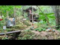 Walk Vlog EP 09: Hom Doi Coffee, Mae kampong, Chiang Mai, Thailand