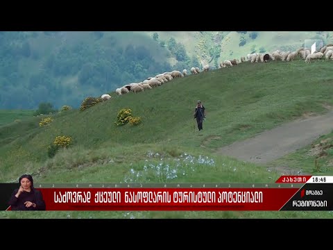 საძოვრად ქცეული ნასოფლარის ტურისტული პოტენციალი