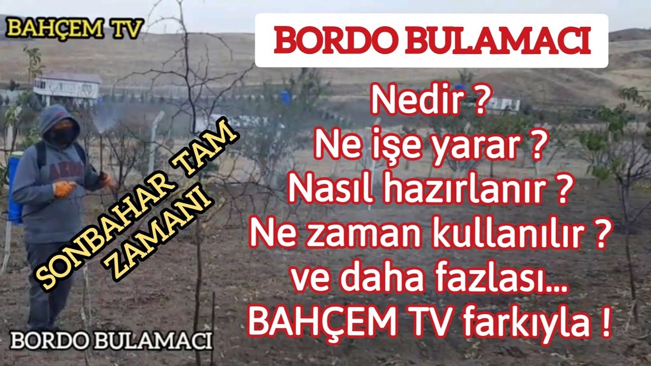 Bordo bulamacı Ağaçları hastalıklardan korumak için Ne zaman ve Nasıl kullanılmalıdır ?