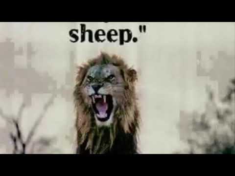 انجمن معتادان گمنام قدم یک سوال ۴۵ امیر وفا