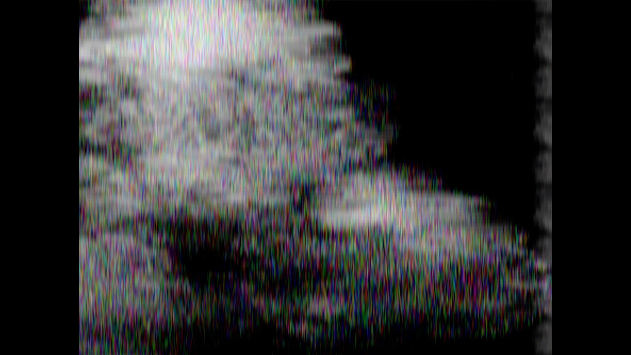 genesodium - spiritless morales