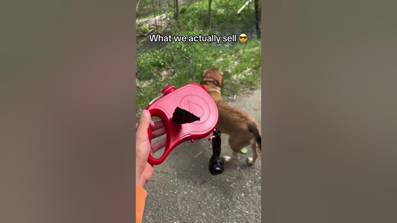 Every Dog Owner NEEDS This! 🦮 The Ultimate Gadget for Happy Walks
