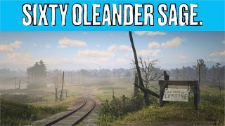 Red Dead Redemption II 60 Oleander Sage Locations