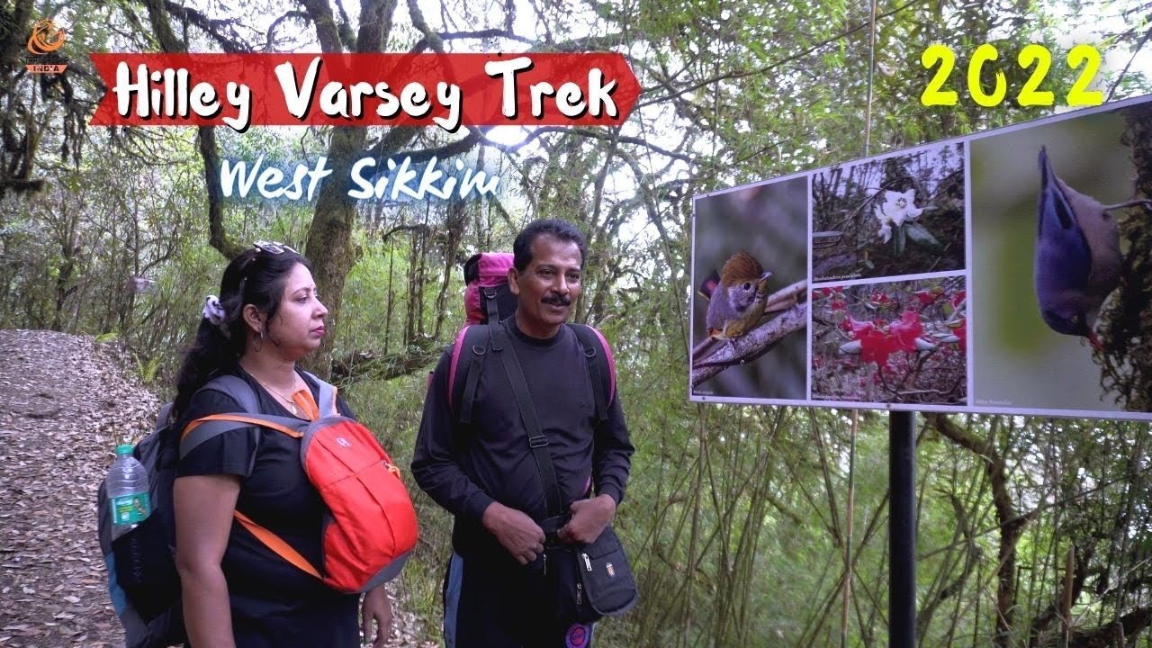 Trek to Varsey Rhododendron Sanctuary | Varsey Trek Sikkim | Hilley to Varsey | Part 1 | 4K