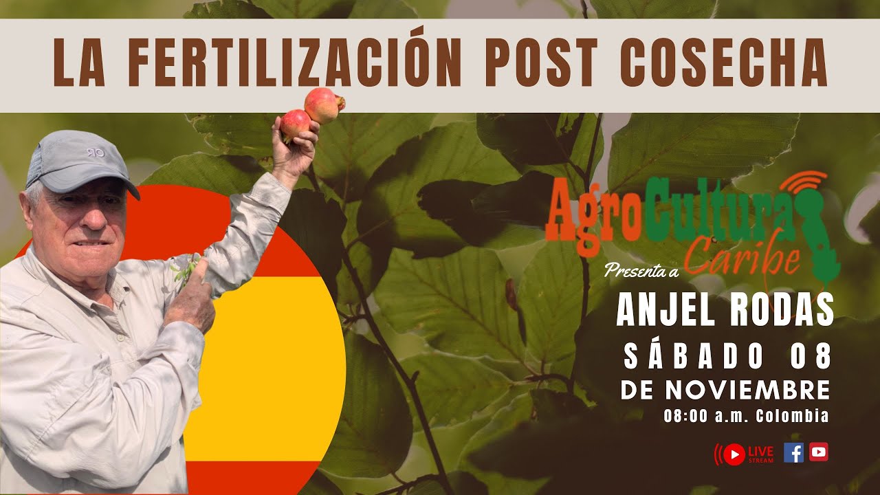 La fertilización post cosecha