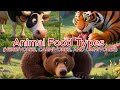 Animal Food Types: Herbivores, Carnivores, and Omnivores For Kids, Kindergarten, and Preschoolers
