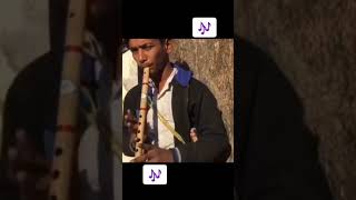 Street   Flute 