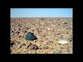 Cahelo Hamada Original Mix Cahelo Hamada Original Mix