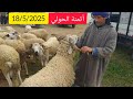 ثمن الحولي من سوق حد الغربية بتاريخ 18 5 2025 