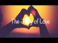 Monsieur minimal  the joy of love  ledeep  nikola remix