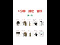 129 最强大脑 1分钟 记住 48个音标 音标 国际音标 零基础英语音标