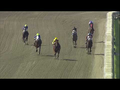 video thumbnail for MONMOUTH PARK 08-15-2025 RACE 4