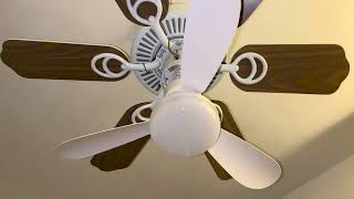 Testing a Flower Fan Light socket ceiling fan with different numbers of blades