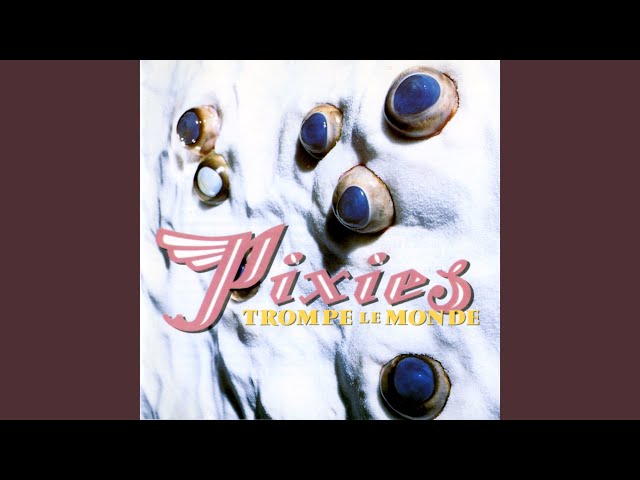 Pixies - U-Mass