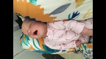 (WLLN continued) The Expectation and Variance of the Sample Mean