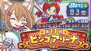 ビンゴアリーナ 裏アリーナ 少しやる〖 #ぷよクエ 〗