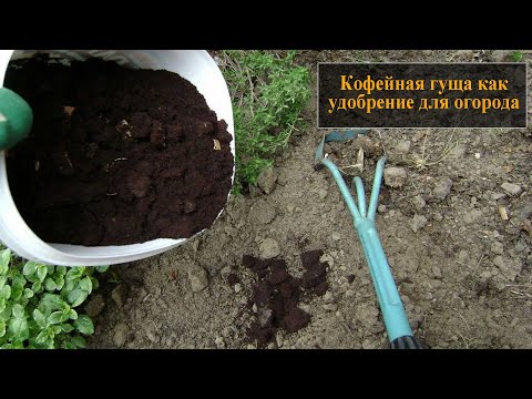 Кофейная гуща как удобрение для огорода